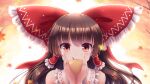  1girl apple autumn_leaves bangs barefoot bow brown_hair commentary_request eyebrows_visible_through_hair eyes_visible_through_hair food frilled_bow frills fruit hair_bow hair_tubes hakurei_reimu highres large_bow long_sleeves looking_at_viewer lzh red_bow red_eyes solo touhou 