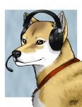  2014 ambiguous_gender black_nose brown_eyes canid canine canis collar dena_natali domestic_dog female_(lore) feral fur headgear headphones headset headset_microphone konami mammal microphone mira_(silent_hill) multicolored_body multicolored_fur red_collar shiba_inu signature silent_hill solo spitz tan_body tan_fur two_tone_body two_tone_fur video_games white_body white_fur 
