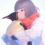  1:1 ambiguous_gender avian bird clothed clothing duo emperor_penguin female feral gloves hair handwear hug hugging_from_behind human kuvshinov-ilya mammal penguin purple_eyes quadruped red_scarf scarf silver_hair simple_background white_background 