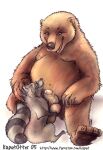  2005 anthro balls brown_body duo erection genitals grey_body kaputotter male mammal overweight overweight_male penis procyonid raccoon simple_background sitting text url ursid white_background 