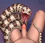  absurd_res ambiguous_gender anthro anthro_on_feral bestiality blush boa_(snake) boa_constrictor boinae duo faceless_character faceless_male female feral forked_tongue genitals glottis happy hi_res human human_on_feral imminent_oral imminent_sex interspecies larger_human larger_male licking long_tongue looking_at_genitalia looking_at_penis male male/ambiguous male/female mammal multicolored_body multicolored_scales mushbun open_mouth oral pattern_(disambiguation) penile penis penis_lick reptile scales scalie sex size_difference smaller_female smaller_feral snake tongue tongue_out 
