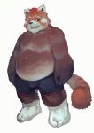  2015 ailurid anthro belly biped bottomwear brown_body brown_fur clothing fur humanoid_hands male mammal moobs orange_body orange_fur overweight overweight_male ramenbeny red_panda shorts simple_background solo white_background 