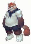  2015 ailurid anthro belly biped bottomwear brown_body brown_fur clothing fur humanoid_hands male mammal orange_body orange_fur overweight overweight_male ramenbeny red_panda shirt shorts simple_background solo topwear white_background 