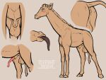  4:3 absurd_res animal_genitalia animal_penis anus balls butt clyde_wolf digital_media_(artwork) erection feral genitals giraffe giraffid hair hi_res horn male mammal nude penis sheath simple_background solo tongue 