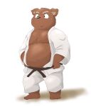  0ottotto0 2014 anthro belly black_nose bodily_fluids bottomwear brown_body clothing hi_res keikogi kemono male mammal martial_arts_uniform navel overweight overweight_male pants simple_background solo sportswear sweat ursid white_background 