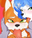  5:6 anthro blush bodily_fluids canid canine canis cum cum_on_face female fox fox_mccloud genital_fluids genitals green_eyes hi_res holding_face holding_penis kingchan krystal looking_at_viewer male male/female male/male mammal nintendo oral penis star_fox video_games wolf wolf_o&#039;donnell 