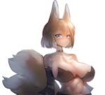  anthro big_breasts biped blue_eyes blush bra breasts canid canine chest_tuft clothed clothing collar eyebrows female fox hi_res looking_at_viewer mammal multi_tail navel simple_background solo tuft underwear utterangle white_background 