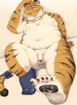  2015 anthro balls belly blush bodily_fluids cum cum_on_feet eyes_closed felid flaccid gattatta genital_fluids genitals hi_res humanoid_genitalia humanoid_hands humanoid_penis kemono male mammal moobs navel nipples overweight overweight_male pantherine penis sitting solo tiger 