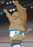 2012 anthro belly brown_body bulge clothed clothing fighting_ring humanoid_hands kemono male mammal moobs nipples overweight overweight_male shiba-kenta solo suid suina sus_(pig) topless underwear wild_boar wrestler 