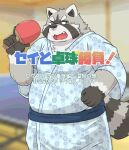  2021 anthro blush clothed clothing cute_fangs fur grey_body grey_fur humanoid_hands inside japanese_text kemono kota&acute; male mammal overweight overweight_male procyonid raccoon solo text 
