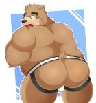  2021 absurd_res anthro belly blush brown_body brown_fur brown_nose bulge butt clothing eyewear fur glasses hi_res jockstrap kemono male mammal nisikemo overweight overweight_male simple_background solo tokyo_afterschool_summoners underwear ursid video_games volos 
