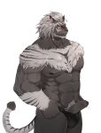  abs absurd_res adkt anthro arm_tuft biceps blush bodily_fluids braided_mane briefs briefs_only chest_fur clothing embarrassed erection facial_hair facial_scar felid final_fantasy final_fantasy_xiv fur genitals grey_body grey_fur hi_res holding_clothing holding_object holding_underwear hrothgar male mammal markings muscular muscular_male nipples pecs penis poking_out pubes scar solo square_enix striped_markings stripes sweat sweatdrop tail_tuft triceps tuft underwear video_games 