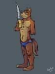  2021 anthro blue_speedo brown_body brown_fur bulge canid canine canis clothed clothing cute_fangs disney don_karnage fur grey_background hand_behind_back hi_res holding_object holding_sword holding_weapon k-9 looking_at_viewer male mammal melee_weapon multicolored_body multicolored_fur notched_ear plantigrade simple_background smile solo speedo standing swimwear sword talespin tan_body tan_fur topless two_tone_body two_tone_fur weapon wolf 