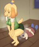  5:6 animal_crossing anthro bangs bare_legs barefoot bodily_fluids bottomwear breasts canid canine canis clothed clothing crouching digital_media_(artwork) domestic_dog duo feet female hato1359 hi_res human imminent_facesitting isabelle_(animal_crossing) legs_together looking_up lying male male/female mammal musk nintendo on_back open_mouth secretary shaded shih_tzu skirt standing sweat toes toy_dog video_games villager_(animal_crossing) 