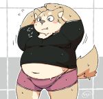  2016 anthro belly big_belly blush bodily_fluids brown_body brown_fur canid canine canis clothing domestic_dog eyes_closed fur hi_res kemono male mammal natamaru_a navel overweight overweight_male shirt solo sweat topwear underwear 