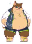  2018 anthro belly blush bottomwear brown_body brown_fur canid canine canis clothed clothing domestic_dog fur hoodie kemono male mammal natamaru_a navel obese obese_male open_clothing open_hoodie open_topwear overweight overweight_male shorts solo tokyo_afterschool_summoners topwear video_games xolotl 