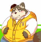  2016 anthro belly big_belly black_nose blush bottomwear brown_body brown_fur canid canine clothing cute_fangs fur hat headgear headwear hoodie kemono male mammal natamaru_a overweight overweight_male pants popori solo tera_online topwear video_games 