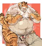  2021 absurd_res anthro balls belly big_belly blush bodily_fluids censored clothing cum duo ejaculation erection eyes_closed felid genital_fluids genitals hi_res humanoid_genitalia humanoid_hands humanoid_penis kemono kotobuki male mammal musk navel obese obese_male overweight overweight_male pantherine penis shirt simple_background sweat tears tiger topwear ursid 