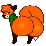  1:1 alpha_channel animated anthro bent_legs bent_over big_butt bottomless bouncing bouncing_butt butt canid canine clothed clothing digital_media_(artwork) dipstick_tail fox fur hair hands_on_knees hands_on_legs hands_on_own_knees hands_on_own_legs holding_knees hoodie looking_at_viewer looking_back male mammal multicolored_tail orange_body orange_fur peeel pixel_(artwork) pixel_animation presenting presenting_hindquarters short_playtime simple_background smile solo standing thick_thighs topwear transparent_background twerking zed_(zedfox) 