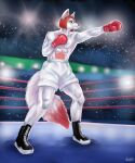  2021 5:6 abs absurd_res anthro biped bottomwear boxing_gloves canid canine canis clothing detailed_background fighting_ring footwear hair handwear hi_res lora_mclaren male mammal red_boxing_gloves red_clothing red_hair red_handwear shoes shorts solo standing white_bottomwear white_clothing white_shorts wolf 