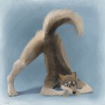  2021 anthro ass_up blue_sclera butt canid canine canis djano fur grey_body grey_fur hi_res jack-o&#039;_pose looking_back male mammal nude pose presenting presenting_hindquarters raised_tail signature simple_background smile smirk solo white_body white_fur wolf 