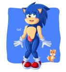  anthro blue_body blush bodily_fluids canid canine clothing duo embarrassed eulipotyphlan footwear fox fur genitals gloves goms green_eyes handwear hedgehog hi_res looking_at_viewer looking_pleasured male male/male mammal miles_prower open_mouth penis sega shoes simple_background sonic_the_hedgehog sonic_the_hedgehog_(series) surprised_expression sweat sweatdrop tapering_penis yellow_body 