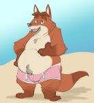  2018 absurd_res anthro baron_puddin_paws beach belly bulge canid canine clothing disney fox gideon_grey hi_res male mammal moobs overweight overweight_male seaside solo swimwear zootopia 