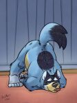  2021 anthro ass_up blue_body blue_fur bluey_(series) bluey_heeler canid canine canis dipstick_tail domestic_dog front_view fur half-closed_eyes hi_res jack-o&#039;_pose k-9 male mammal meme multicolored_tail narrowed_eyes on_ground pose smile solo tongue tongue_out 