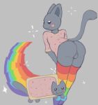  anthro anthrofied backsack balls big_butt bread butt clothed clothing crossdressing domestic_cat duo felid feline felis feral food footwear fur genitals grey_body grey_fur legwear male mammal meme multicolored_clothing multicolored_footwear multicolored_socks nyan_cat pattern_clothing pattern_footwear pattern_legwear pattern_socks pink_cheeks pink_t-shirt rainbow rainbow_clothing rainbow_footwear rainbow_socks scribsen smile socks star striped_clothing striped_footwear striped_socks stripes thigh_highs toast 