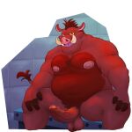  1:1 absurd_res anthro balls belly brown_body brown_hair disney erection genitals hair haxsmack hi_res male mammal moobs nipples nude overweight overweight_anthro overweight_male penis pumbaa sitting solo suid suina sus_(pig) the_lion_king tusks wild_boar 