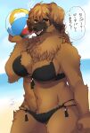  2021 absurd_res anthro ball beach_ball big_breasts bikini blurred_background breasts brown_body brown_eyes brown_fur brown_hair canid canine canis chest_tuft claws cleavage clothed clothing dialogue digital_media_(artwork) domestic_dog facial_markings fangs female finger_claws fingers floppy_ears fluffy fluffy_ears fur hair head_markings hi_res holding_object inflatable japanese_text kemono lemoco mammal markings muzzle_(marking) navel neck_tuft open_mouth portrait shaded signature snout snout_markings solo speech_bubble swimwear text three-quarter_portrait tongue translated tuft 