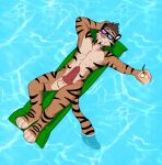  absurd_res anthro balls beverage eyewear felid floater genitals hi_res knot machairodontine male mammal muscular pantherine penis poolside redjasper solo sunglasses tiger water 