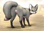  absurd_res animal_genitalia animal_pussy anus butt canid canine canine_pussy canis domestic_dog feet female feral fox fur genitals grey_fox hi_res looking_at_viewer mammal momou nude paws pussy simple_background smile solo toes urocyon 