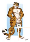  animal_genitalia anthro balls felid genitals hi_res kahlu karnal male mammal nude pantherine sheath solo standing tiger weighing_scale 