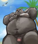  2021 absurd_res anthro balls beach belly black_nose blush canid canine canis cute_fangs domestic_dog flaccid genitals hi_res humanoid_genitalia humanoid_hands humanoid_penis kemono male mammal moobs navel nipples outside overweight overweight_male penis seaside solo yuuh1212 