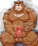  2015 anthro barazoku belly big_belly blush bodily_fluids brown_bear edit erection foreskin genitals grizzly_bear hi_res humanoid_genitalia humanoid_penis kemono kotobuki looking_down male mammal masturbation muscular muscular_anthro muscular_male obese obese_anthro obese_male overweight overweight_anthro overweight_male penile penile_masturbation penis retracted_foreskin sex simple_background sitting solo steam sweat uncensored uncut ursid ursine 