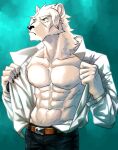  abs anthro belt blue_eyes bottomwear chirenbo clothed clothing fur hair hi_res male mammal muscular muscular_anthro muscular_male nipples partially_clothed paul_(kurumiken) pecs polar_bear simple_background solo ursid ursine white_body white_fur 