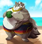  2021 absurd_res anthro ball beach belly big_belly canid canine clothing doughydevious hi_res humanoid_hands male mammal obese obese_male outside overweight overweight_male seaside seth_(tas) solo swimwear tokyo_afterschool_summoners video_games water 