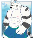  2021 abs absurd_res animal_crossing anthro barazoku big_muscles birthday boxer_briefs boxers_(clothing) bulge clothing digital_drawing_(artwork) digital_media_(artwork) english_text felid fur gio-joe gradient_background grey_body grey_fur hi_res looking_at_viewer male mammal muscular muscular_male nintendo pantherine pecs rolf_(animal_crossing) signature simple_background solo text tiger underwear video_games white_body white_fur 