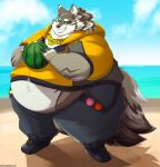  2021 absurd_res anthro ball beach belly big_belly bottomwear canid canine clothing doughydevious hi_res hoodie humanoid_hands male mammal obese obese_male outside overweight overweight_male pants seaside seth_(tas) solo tokyo_afterschool_summoners topwear video_games water 