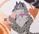  anthro balls breasts collar collar_tag duo featureless_breasts felid fellatio female fur genitals hi_res male male/female mammal nymera oral pantherine penile penis sabuky sex simple_background snow_leopard solo_focus spade_tail 