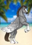  beach black_muzzle blurred_background brown_eyes brown_hair cloud dallas_prairiewind equid equine feathered_wings feathers feral fetlocks fur grey_body grey_fur hair hi_res leg_markings looking_at_viewer male mammal markings on_hind_legs pegasus plant sand seaside socks_(marking) solo tabascocat tree wings 