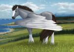  alexandradane black_muzzle brown_eyes brown_hair cloudy_sky dallas_prairiewind equid equine eyebrows feathered_wings feathers feral fur grass grey_body grey_fur hair leg_markings looking_at_viewer male mammal markings pegasus plant socks_(marking) solo white_markings wings 