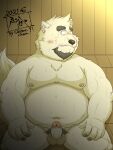  2021 3:4 absurd_res anthro balls beard belly blush canid canine canis domestic_dog erection facial_hair genitals hi_res humanoid_genitalia humanoid_hands humanoid_penis kemono male mammal moobs navel nipples overweight overweight_male penis sauna sitting solo tanutronik753_k 