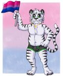  2021 5:6 anthro balls_outline biped bisexual_pride_colors black_body black_clothing black_ears black_fur black_nose black_underwear border boxers_(clothing) claws clothed clothing eyebrows fangs felid flag fur gaokun genital_outline green_eyes hair hi_res holding_flag holding_object inner_ear_fluff jewelry lgbt_pride male mammal multicolored_body multicolored_ears multicolored_fur necklace open_mouth pantherine partially_clothed pawpads paws pink_pawpads pride_color_background pride_colors sheath_outline simple_background smile solo stripes teeth tiger toe_claws tuft two_tone_body two_tone_ears two_tone_fur underwear watermark white_body white_border white_ears white_fur white_hair 