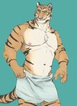  anthro felid hi_res male mammal muscular muscular_male nipples pantherine pecs simple_background solo tawa tiger towel towel_only 