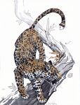  2021 alradeck ambiguous_gender felid feral fur hi_res jaguar mammal pantherine solo spots spotted_body spotted_fur traditional_media_(artwork) whiskers 