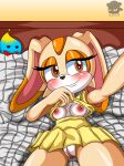  aged_up anthro bed bedroom_eyes breasts chao_(sonic) cheese_the_chao clothed clothing cream_the_rabbit dress duo female furniture genitals half-closed_eyes hi_res humanoid lagomorph leporid mammal narrowed_eyes nipples presenting pussy rabbit seductive sega selfie sirjzau small_breasts solo sonic_the_hedgehog_(series) spying 