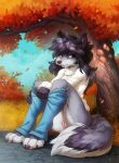  4_toes 5_fingers anthro autumn barefoot barely_visible_breasts biped breasts canid claws clothed clothing enfield feet female fingers fluffy fluffy_tail fur genitals hair hi_res hioshiru hioshiru_(character) long_hair looking_away mammal multicolored_body multicolored_fur outside pants_down partially_clothed plant public purple_eyes pussy shy sitting solo sweater toe_claws toes topwear tree undressing white_body white_fur 
