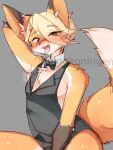  2021 3:4 absurd_res anthro blonde_hair blush bodily_fluids bow_tie canid canine clothed clothing crossgender cute_fangs drooling fox fox&#039;s_sister_(kinokoningen) ftm_crossgender girly grey_background hair hand_behind_head hi_res kinokoningen looking_at_viewer male mammal nipple_slip nipples open_mouth saliva shirt_collar short_hair simple_background smile solo sweat tongue tongue_out 